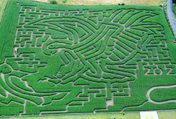 Southwold Maize Maze & Play Park